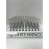 White Rhino Straight Pipe