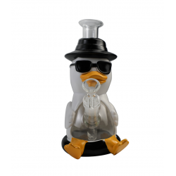 Sunglasses  duck water  pipe