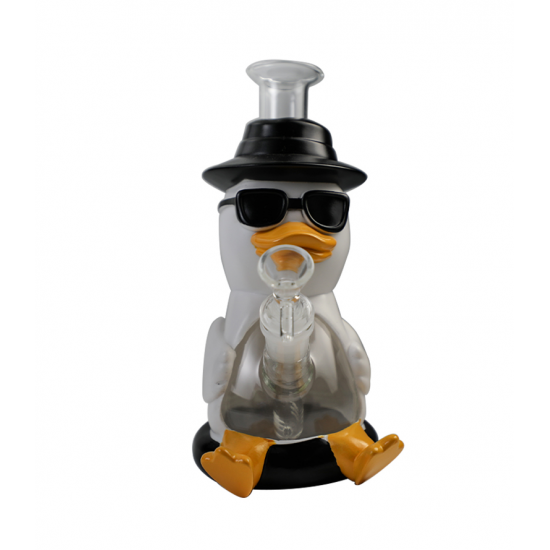 Sunglasses  duck water  pipe