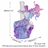 Crystal glass Sagittarius water  pipe